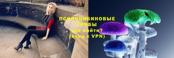 СК Абинск