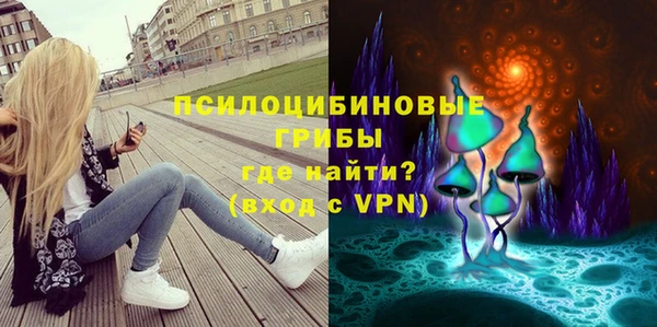 винт Алзамай