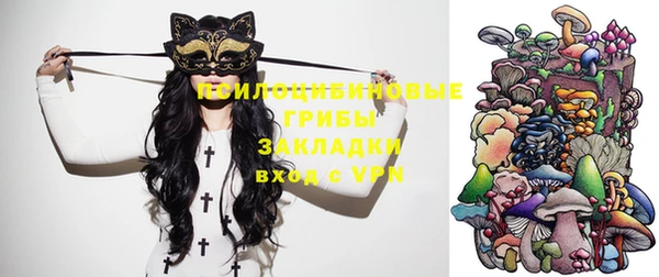 винт Алзамай