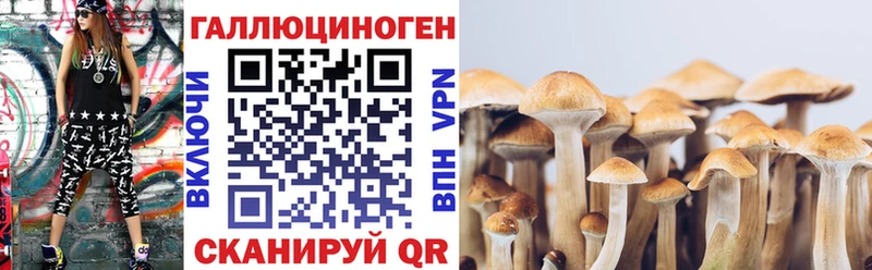 площадка какой сайт  Безенчук  Псилоцибиновые грибы Magic Shrooms  где купить наркоту 